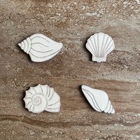 Handmade wooden DIY sea shell cutout in four unique styles, ready for paint or decorating