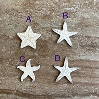 Handmade wooden DIY starfish cutout in four unique styles, ready for paint or decorating