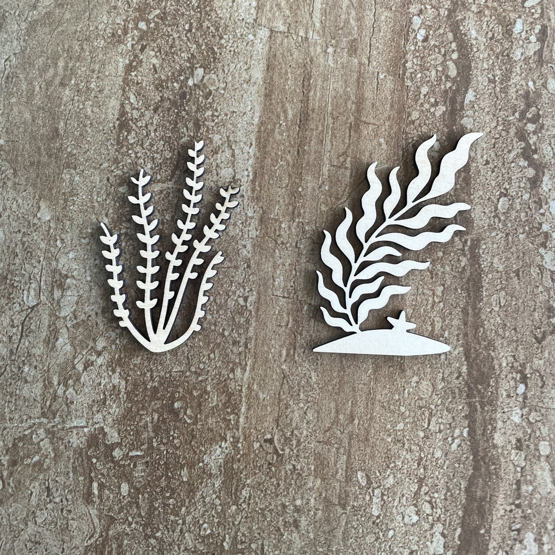 Handmade laser cut wood seaweed shapes in two different styles for DIY crafts
