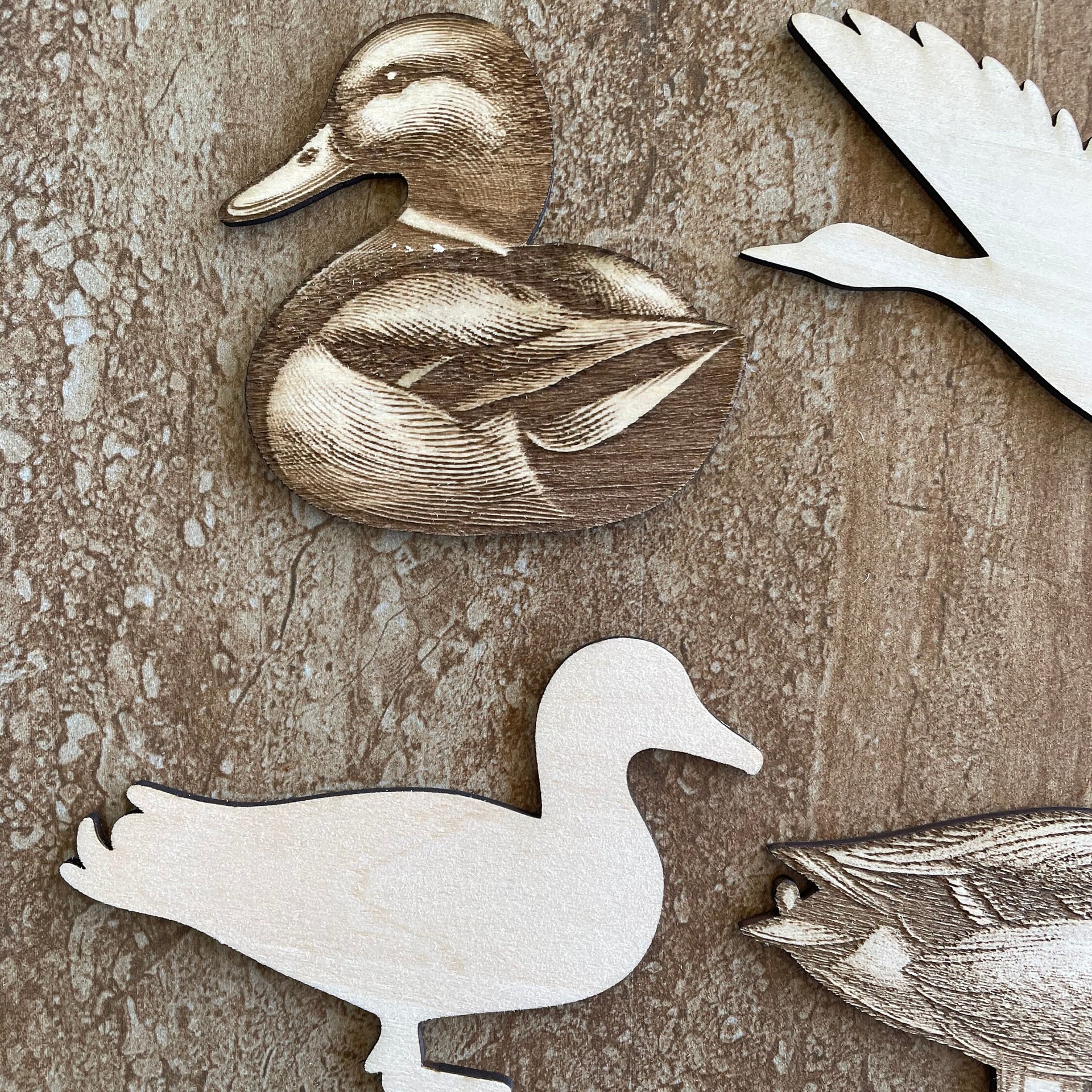 Handmade wooden DIY duck cutout in four unique styles, ready to paint or decorate