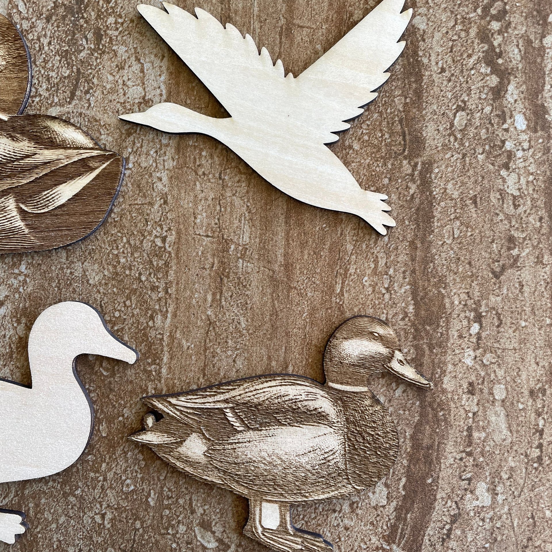 Handmade wooden DIY duck cutout in four unique styles, ready to paint or decorate