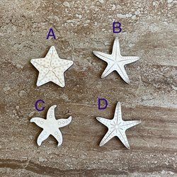 Handmade wooden DIY starfish cutout in four unique styles, ready for paint or decorating