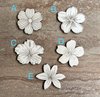 Handmade wooden DIY tropical flower cutouts in five unique styles, ready for paint or decorating